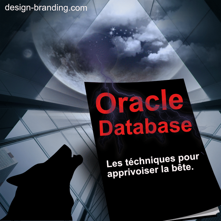 OracleDatabase Apprivoiser Oracle